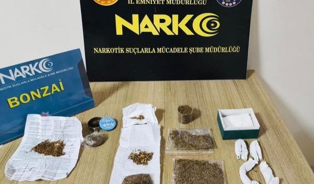 Ordu'da uyuşturucu operasyonlarında 19 tutuklama