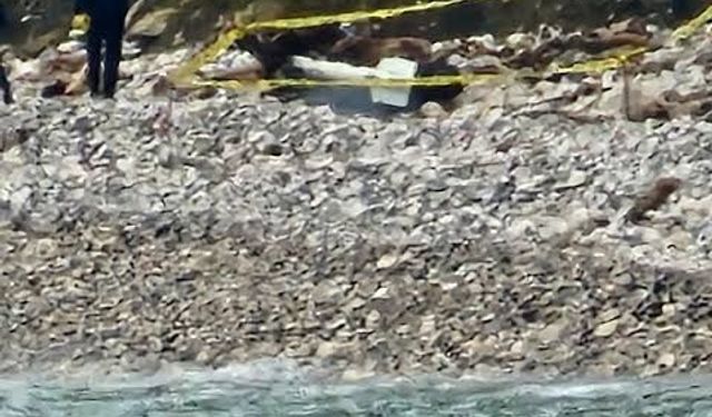 Türkeli'de kıyıya vuran şüpheli cisim korkuttu