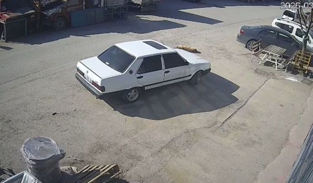Yolda yatan köpeği ezdi, arkasına bakmadan uzaklaştı