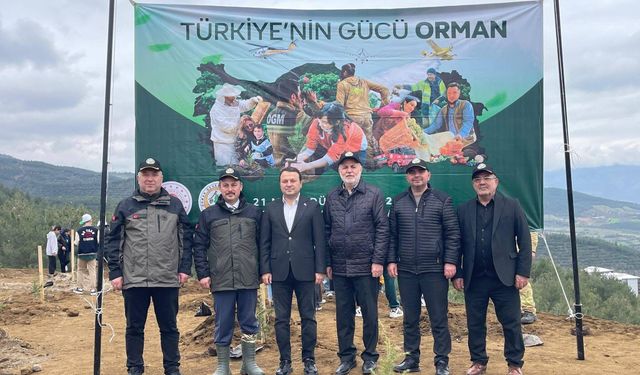 Niksar’da Orman Haftası’nda Fidanlar Toprakla Buluştu