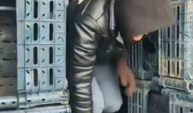 Düzce'de 7 düzensiz göçmen yakalandı