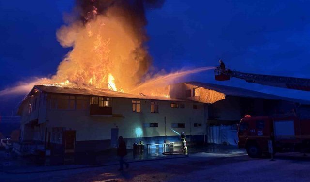 Kastamonu'da fabrika yangını