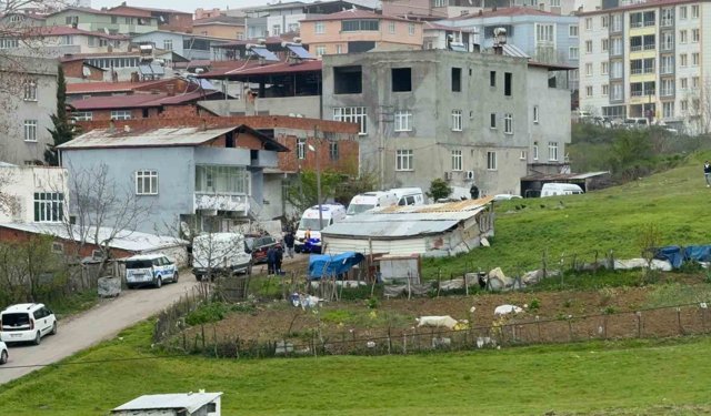 Samsun'daki evlat dehşeti: Anne ve oğlu evde ölü bulundu