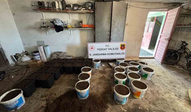 Yozgat'ta uyuşturucu yetiştirme düzeneği ve uyuşturucu madde ele geçirildi