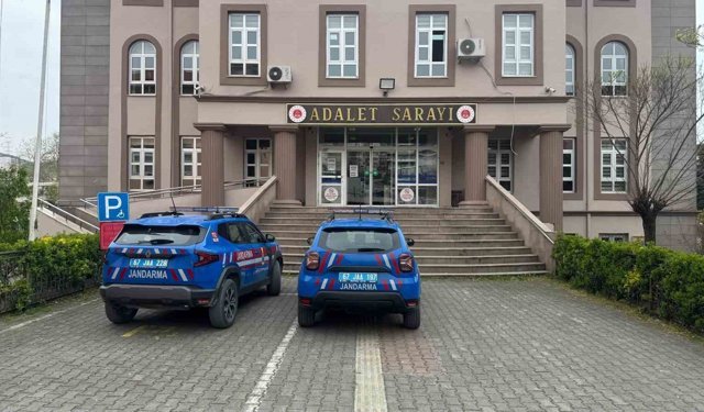 Zonguldak'ta süs bitkisi bahçesinde uyuşturucu özellikli kaktüs ele geçirildi