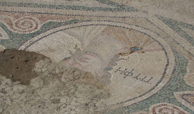Zile’nin Kayıp Hazinesi! Roma Dönemi Mozaikleri Gün Yüzüne Çıkıyor