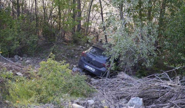 Kontrolden çıkan otomobil Harşit Çayı'nın kenarında durabildi