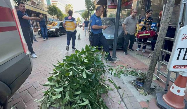 Fren yerine gaza bastı: İki ağacı devirip, duvara çarptıktan sonra durabildi