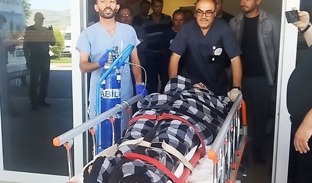 Hayvanlarını otlatırken ayı saldırısına uğradı, Kangallar imdadına yetişti