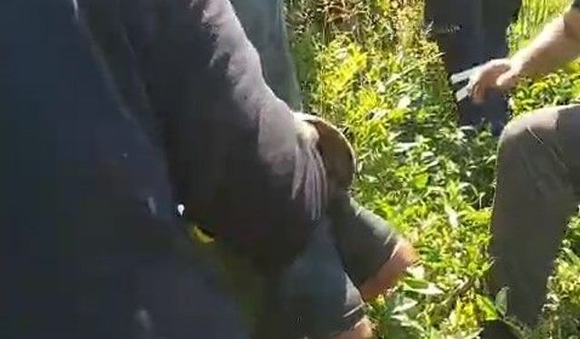 Kiraz toplamak için çıktığı ağaçtan düştü