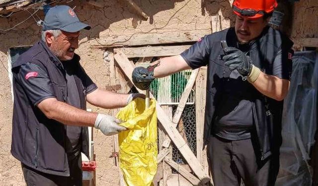 Kırıkkale'de kümese giren yılanı itfaiye çıkardı
