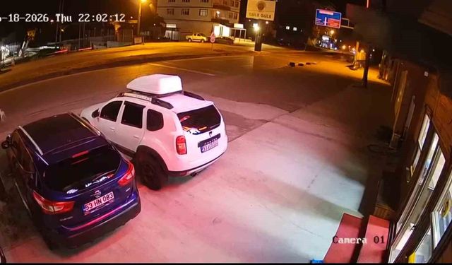 Köpeğe çarpmamak için yaptığı manevra hayatına mal oldu