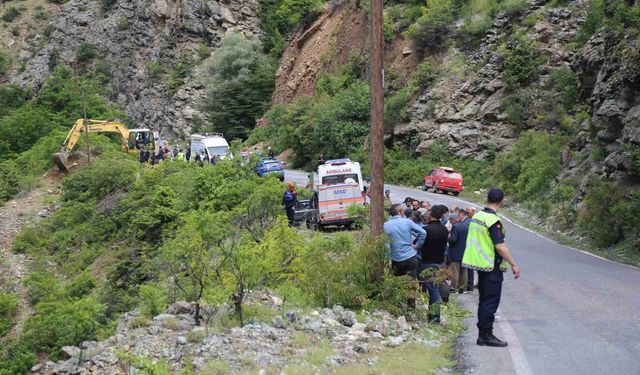Şavşat Deresi'ne uçan kamyonet çıkarıldı, kayıp baba ve oğul aranıyor