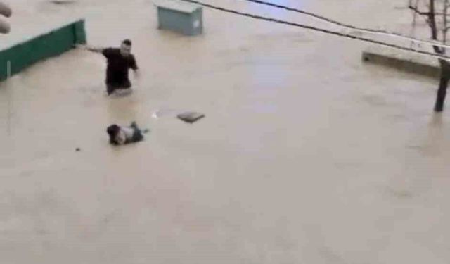 Sel sularına kapılan yaşlı adamı son anda kurtardılar