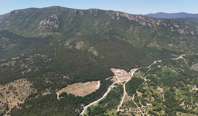 35 gündür kayıp olarak aranan üniversite öğrencisi ormanda ölü bulundu