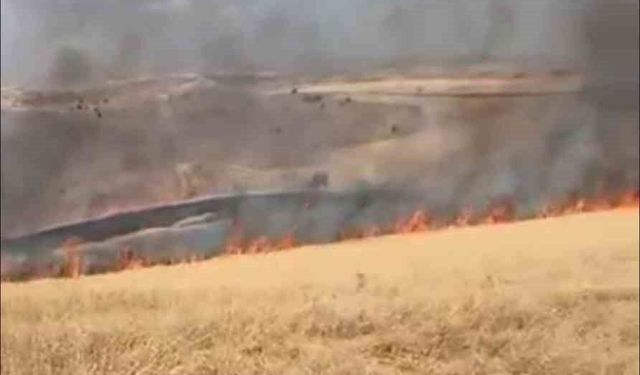 Ankara'da çıkan ot yangını kontrol altına alındı