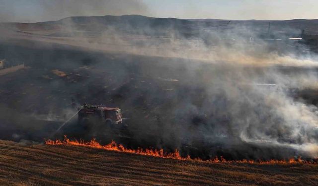 Bir izmarit faciaya yol açıyordu: Alevler mandıra ve evlere kadar ilerledi