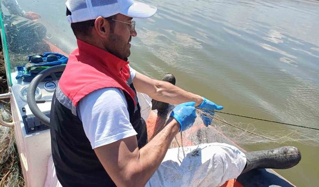 Çorum'da 3 bin 100 metre hayalet ağ ele geçirildi