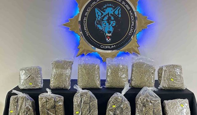 Çorum'da 9 kilo skunk ele geçirildi: 1 tutuklama