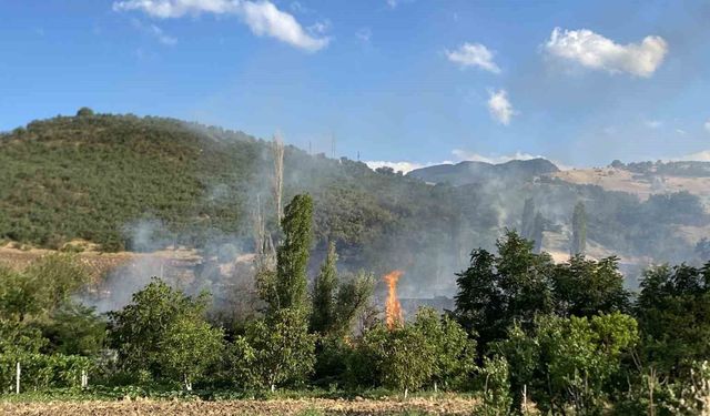 Çorum'da orman yangını