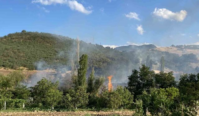 Çorum'daki orman yangını kontrol altına alındı