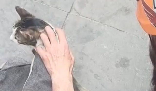 Dar alanda sıkışan kediyi DAK ekipleri kurtardı