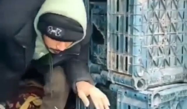 Düzce'de 1 düzensiz göçmen yakalandı