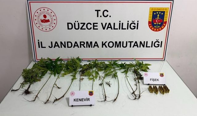 Düzce'de jandarmadan uyuşturucu operasyonu