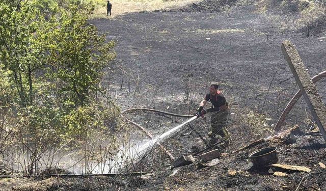 Düzce'de yangın evlere sıçramadan söndürüldü