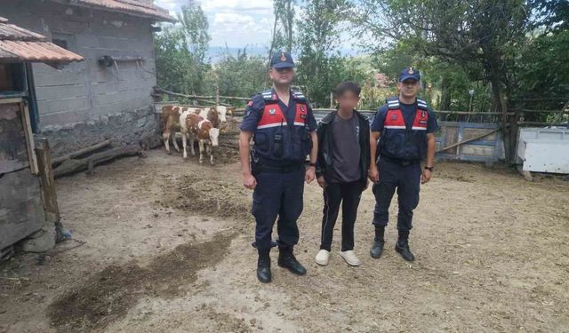 Hayvanlarını kaybeden çiftçinin yardımına Jandarma ekipleri koştu