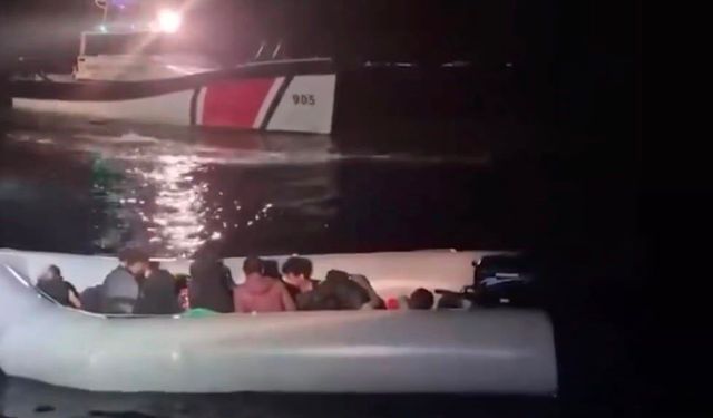 İçişleri Bakanlığı: '427 bin 968 kişinin kimlik kontrolünün yapıldığı denetimlerde 355 düzensiz göçmen yakalandı'