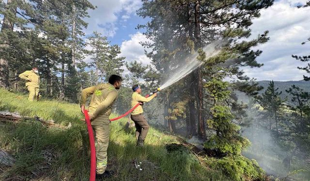 Kastamonu'da çıkan orman yangınında 7,5 dönüm alan zarar gördü