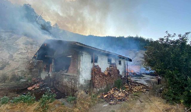 Kastamonu'da evde çıkan yangın ormana sıçradı