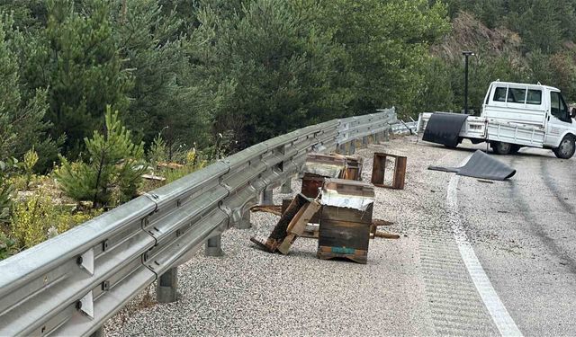 Kastamonu'da kamyonet bariyerlere çarptı: Etrafa saçılan kovandaki arılar telef oldu