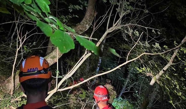 Kastamonu'da uçuruma yuvarlanan şahıs ekipler tarafından kurtarıldı