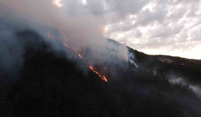 Kastamonu'daki orman yangınına müdahale sürüyor