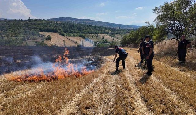 Korkutan anız yangını havadan ve karadan müdahaleyle kontrol altına alındı