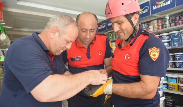 Ordu'da itfaiye ekipleri, ebabil kuşu için seferber oldu