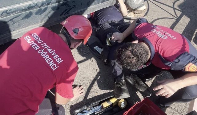 Ordu'da otomobilin egzoz muhafazasına sıkışan yavru kedi kurtarıldı