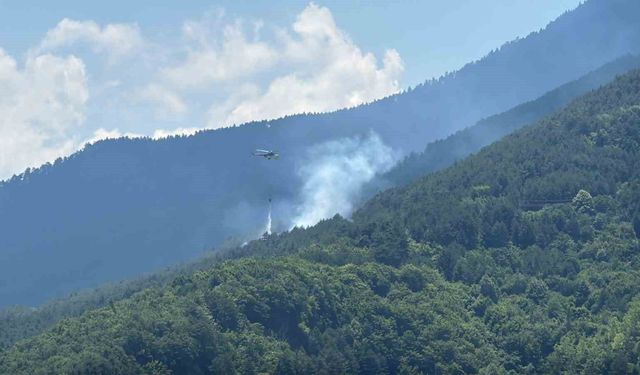 Ormanlık alanda çıkan yangına havadan ve karadan müdahale