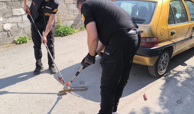 Otomobilin altına giren yılan itfaiye ekiplerince çıkarıldı