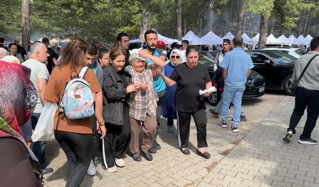 Şenlikte ağaçtan düşen dal yaşlı kadını yaraladı