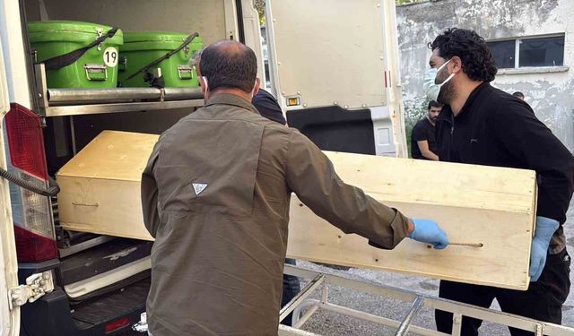 Sivas'ta Kırım Kongo Kanamalı Ateşi'nden ölenlerin sayısı 11'e yükseldi