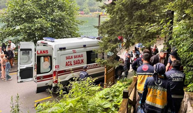 Uzungöl'de seyir terasından araç uçtu: 2 Arap turist yaralı