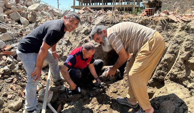 Yıkım halindeki binada mahsur kalan 8 yavru köpeği itfaiye kurtardı