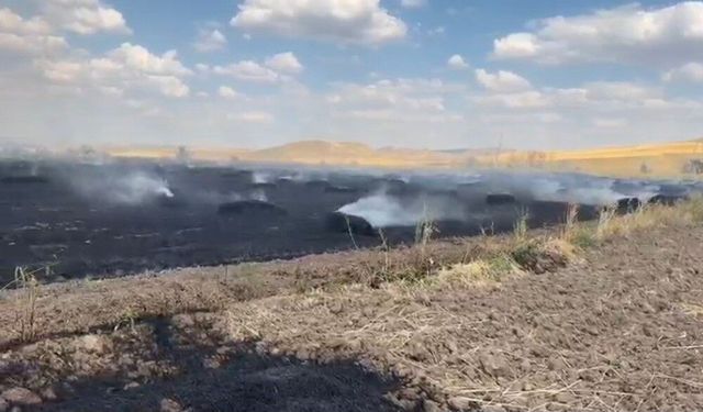 Yozgat'ta örtü yangını tarım arazilerine sıçradı