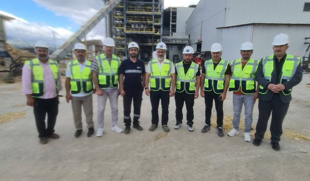 TOKAT'TA TARLADAKİ ANIZLA ELEKTRİK ÜRETİLİYOR