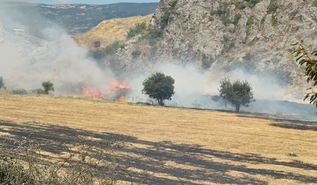Turhal-Sivas Kara Yolu Üzerindeki Otluk Alanda Yangın Çıktı