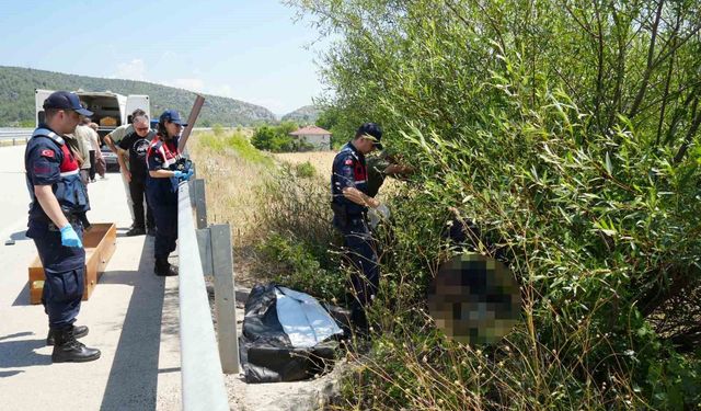 Otomobilin çarptığı bisikletli ağacın altında ölü bulundu, kaçan sürücü kısa sürede yakalandı