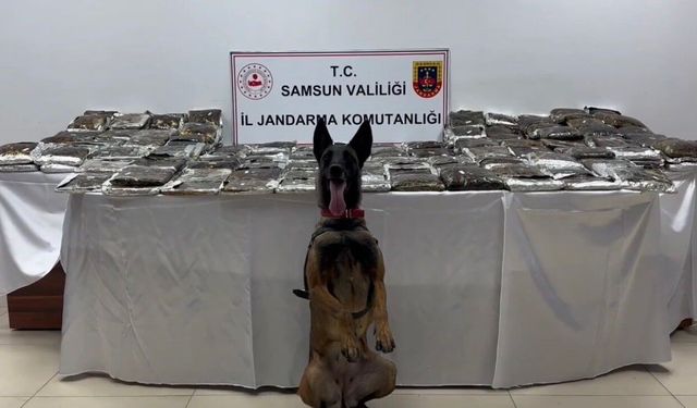 Samsun'da tıra gizlenmiş 132 kilo toz esrar ele geçirildi